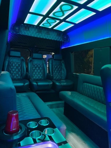Chicago Sprinter Van Limo for weddings, corporate events and more